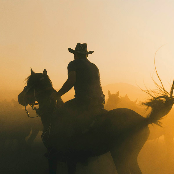 sound tracks cowboys